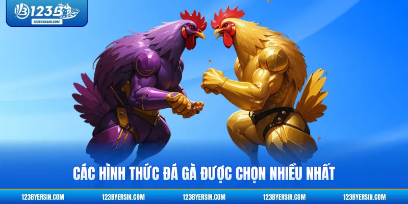 Các hình thức đá gà được chọn nhiều nhất