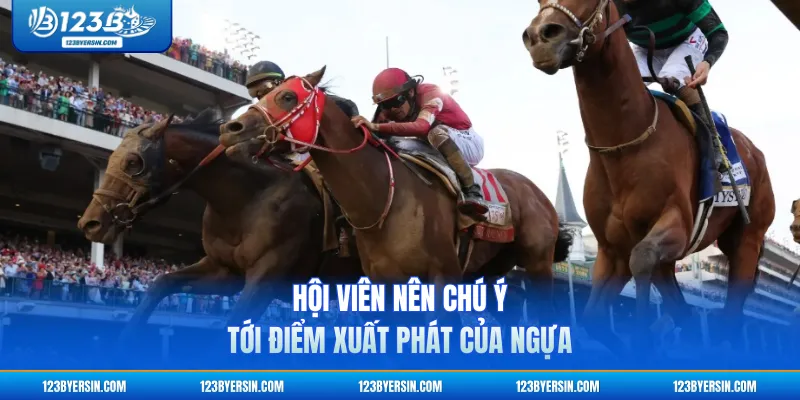 Hội viên nên chú ý tới điểm xuất phát của ngựa
